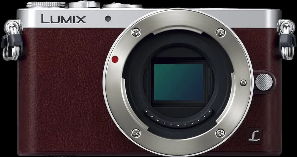 Panasonic Lumix GM1