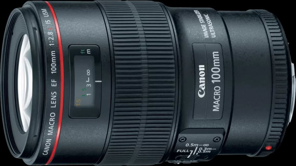Canon EF 100mm f/2.8L Macro IS USM