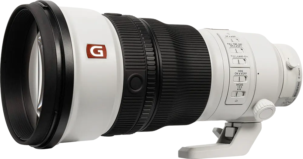 Sony FE 300mm f/2.8 GM OSS - Perspective