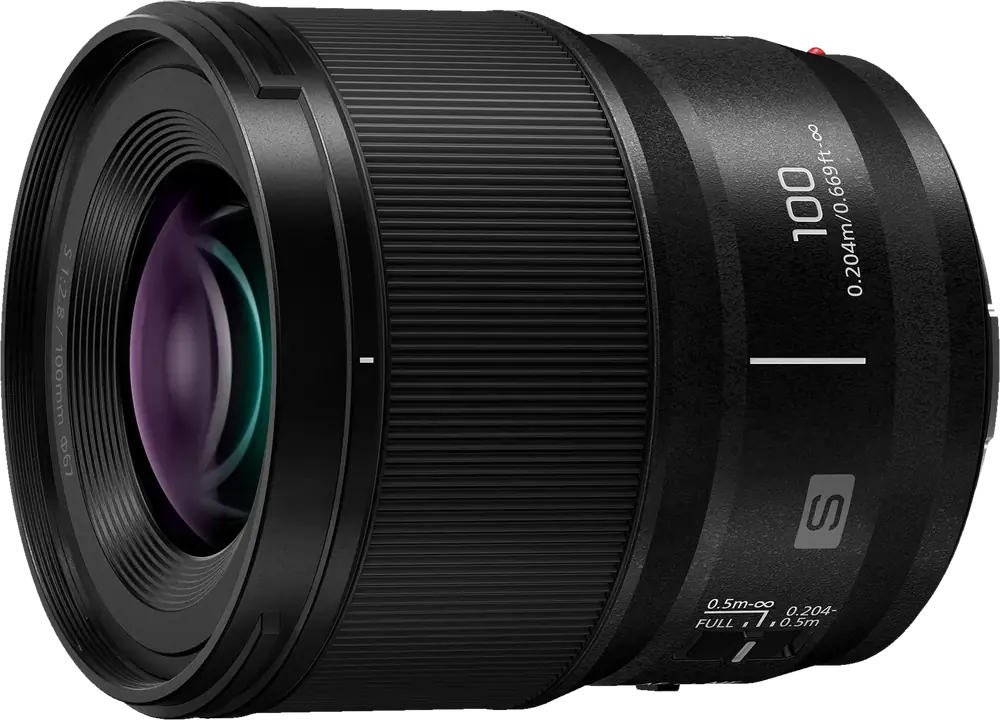 Panasonic Lumix S 100mm f/2.8 Macro - Perspective