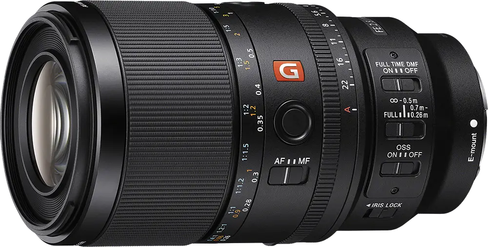 Sony FE 100mm f/2.8 Macro GM Lens